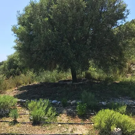Alkyoni House Vasiliki