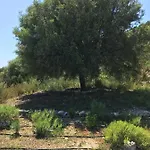 Alkyoni House فاسيليكي